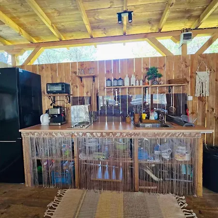 Glamping каравана Coco Bongo Chernomorets