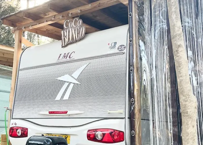 каравана Coco Bongo * Tchernomorets